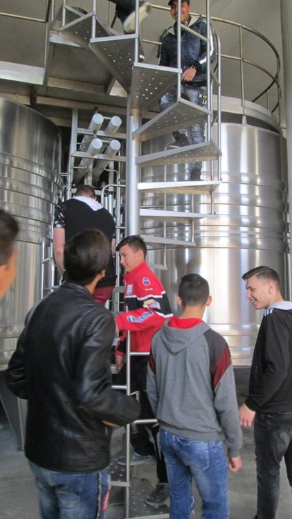 Спорт, култура и технически умения отварят прозорчета към света в Професионалната гимназия по транспорт и аграрни технологии в Хасково