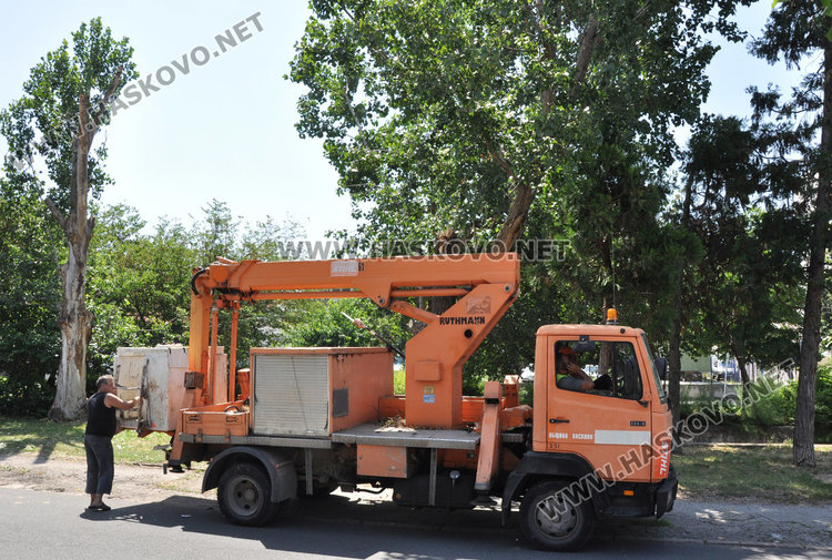 Десетки сигнали за паднали клони и дървета след бурния вятър