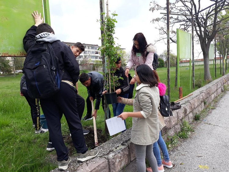 Спорт, култура и технически умения отварят прозорчета към света в Професионалната гимназия по транспорт и аграрни технологии в Хасково