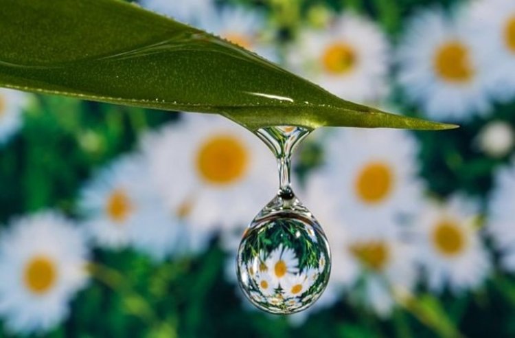 Гръмотевични бури и валежи днес