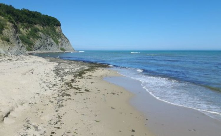 Четири мъртви крави изплуваха от морето край Обзор