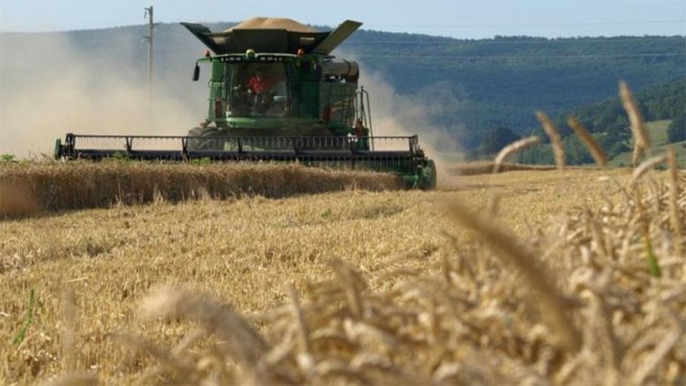 Забраниха пушенето в нивите в Перник