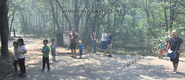 Зоопаркът в Хасково получи лиценз с фойерверки, но буквално