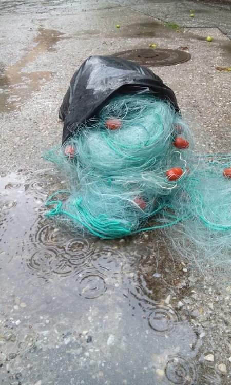 Нощен бракониерски риболов и други нарушения констатираха проверки на ИАРА-Смолян