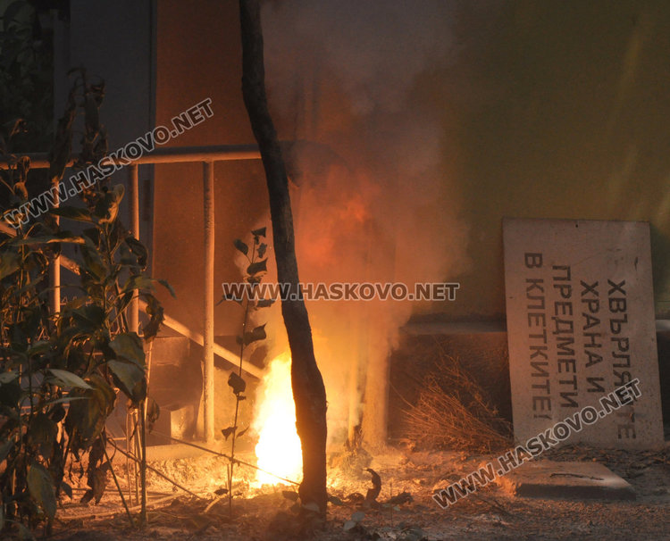 Зоопаркът в Хасково получи лиценз с фойерверки, но буквално