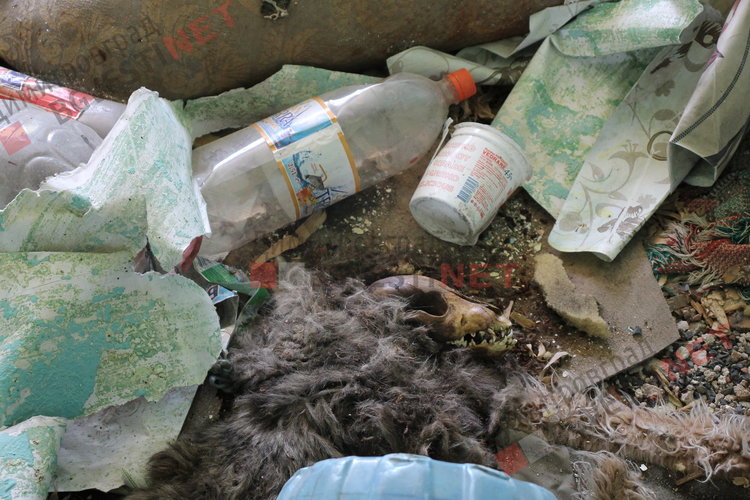 Общината иска да разруши жилищен блок