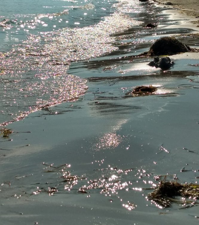 снимка: Зорница Иванова