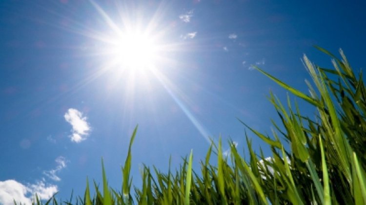 Слънчево в неделя