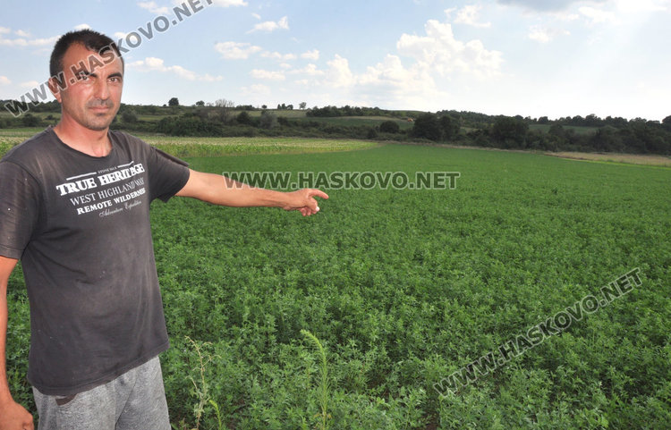 Земеделец се жалва от наводнение. От "Напоителни системи" проверяват