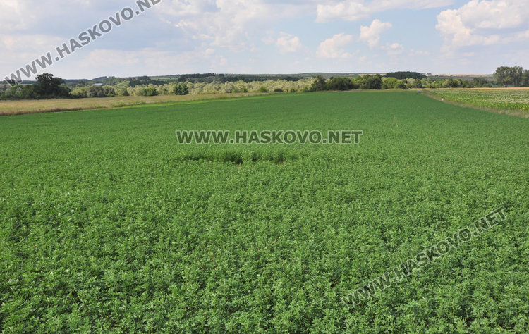 Земеделец се жалва от наводнение. От "Напоителни системи" проверяват