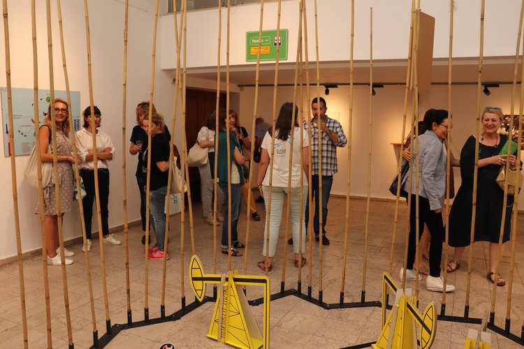 Интерактивна изложба проследява миграционния път на световно застрашен вид