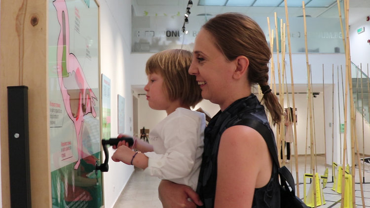 Интерактивна изложба проследява миграционния път на световно застрашен вид