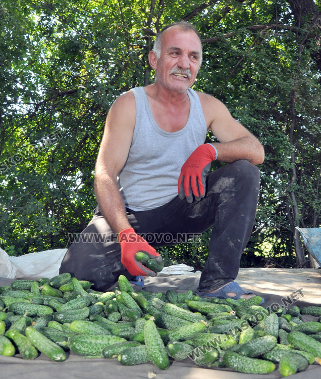 Търговци край Конуш: Голям трафик по пътя, малко продажби