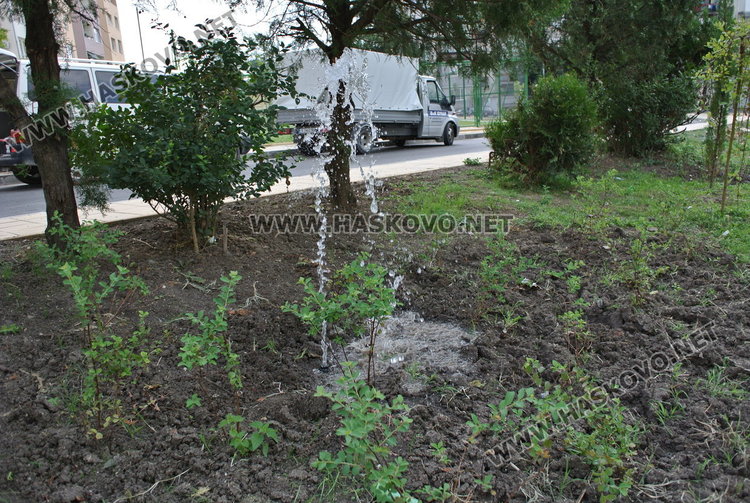 Окрадоха пръскачките от градинките в кв."Орфей"