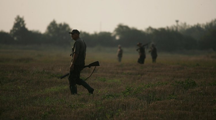 Ловджиите в област Кърджали с мерки срещу разпространение на африканската чума по свинете