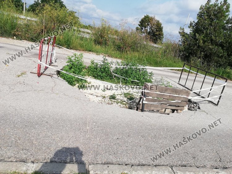 Читател: Трева поникна от дупка в асфалта