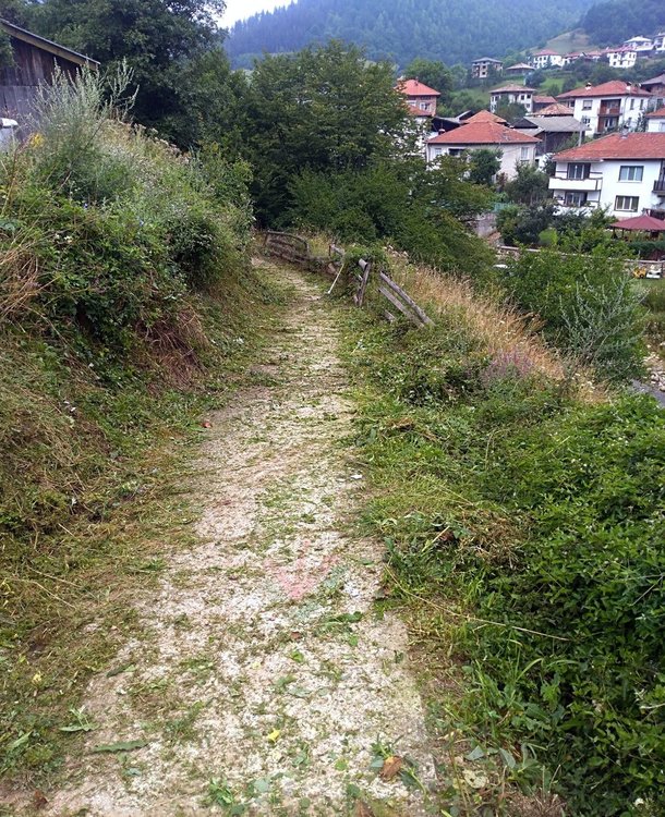 Една от пътечките, които Теди редовно почиства