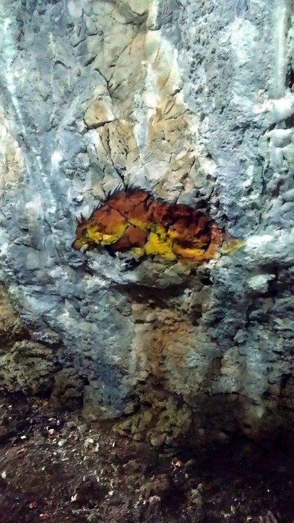 Официално откриха за туристи пещерата Типицето, пражилище на пещерни мечки и антични хора край Могилица