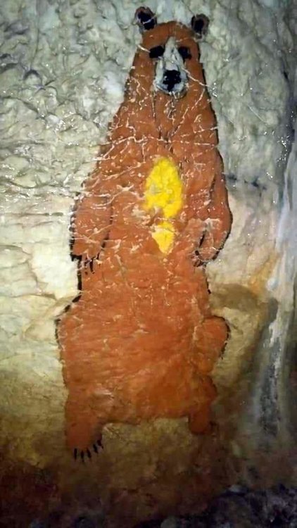 Автор на скалните рисунки в пещерата са на художника от Смолян Борис Кисьов и пресъздават праисторически животни, останки от които са били открити в пещерата при различни проучвания