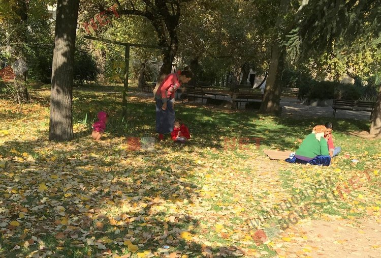 Убитият Недялко е живял в паркче в центъра на Димитровград