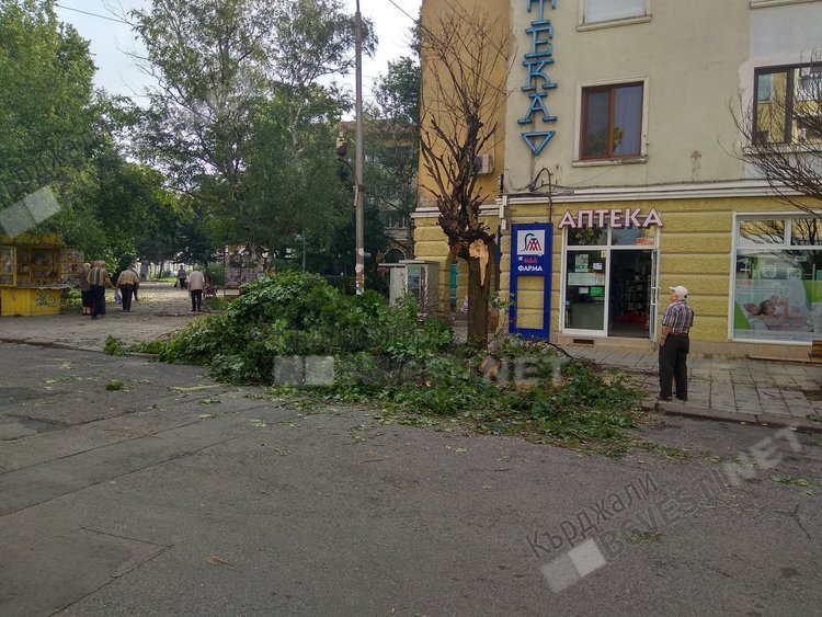 Неокастрени навреме клони се превърнаха в бедствие за Кърджали/снимки/