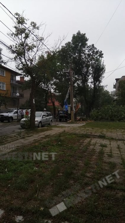 Неокастрени навреме клони се превърнаха в бедствие за Кърджали/снимки/