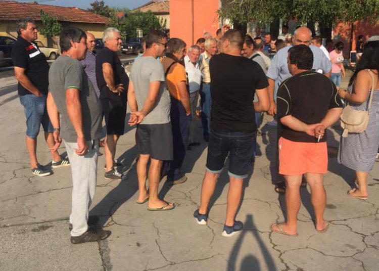 В Крушево отказаха да се подчинят на заповедта на областния управител за избиване на прасетата