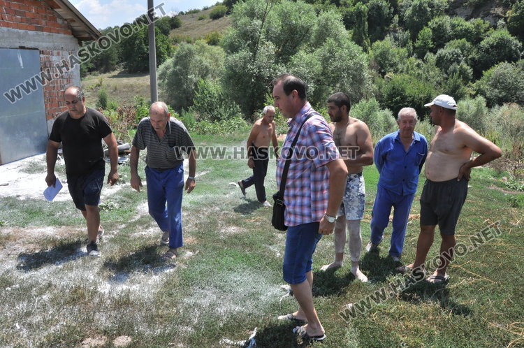 В Гарваново събират подписка срещу избиването на дворните прасета