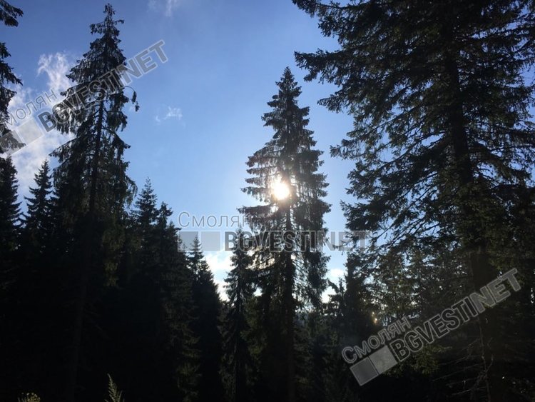 Ветровита неделя, слънце, облаци, но без дъжд