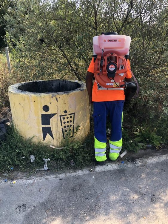 Дезинфекцират магистрала "Марица" и отбивките срещу чума по свинете