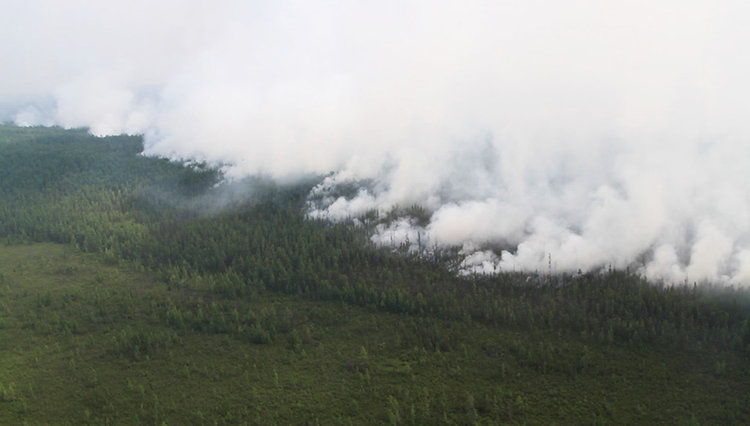 Сухи гръмотевични бури и човешка небрежност причинили огромните горски пожари в Сибир (видео)