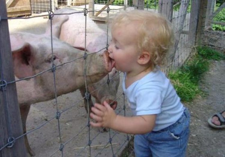 Снимката е от корицата на фейсбук групата "Караджалово"