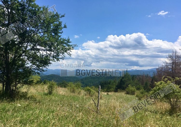 Хладен понеделник, но слънчев и без  валежи