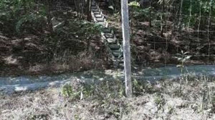 АПИ: Откраднатата ограда на магистрала "Марица" е възстановена незабавно