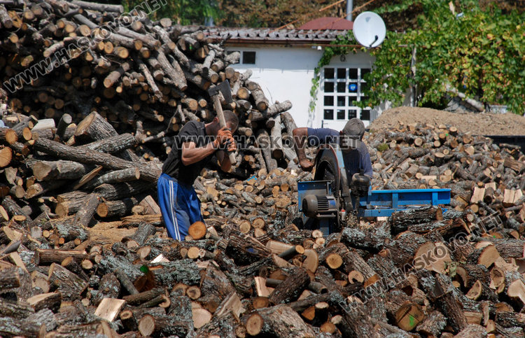 Дървата за огрев от 150 до 170 лева за тон, очаква се поскъпване