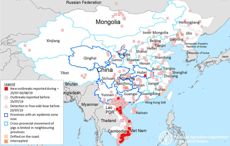 Българска компания получила изключителен лиценз за експериментална ваксина против африканска чума в САЩ