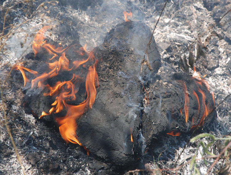 Пожар в частен имот обгази Сточна гара в Хасково
