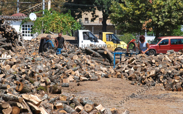 Дървата за огрев от 150 до 170 лева за тон, очаква се поскъпване