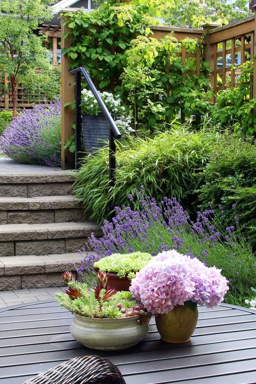 Фантастични идеи за градината