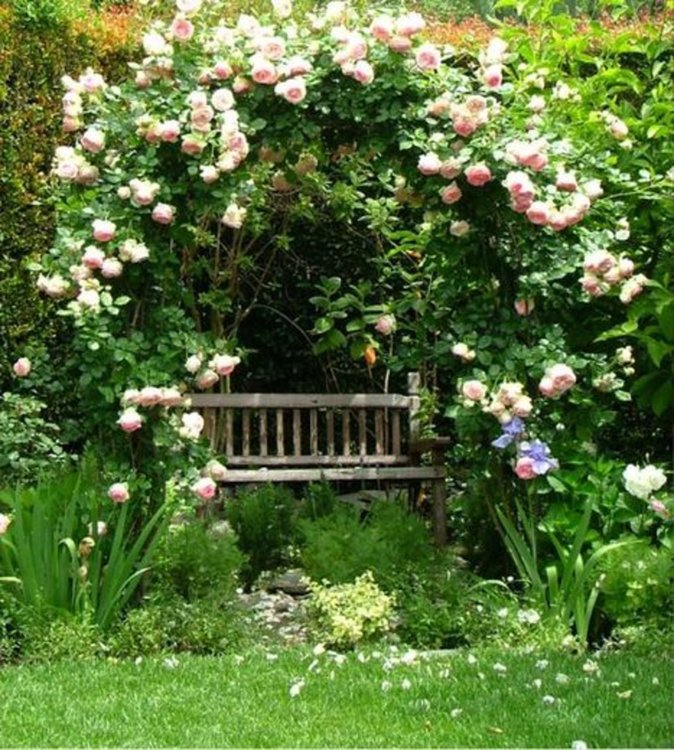 Фантастични идеи за градината