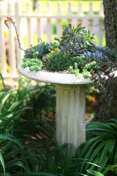 Фантастични идеи за градината