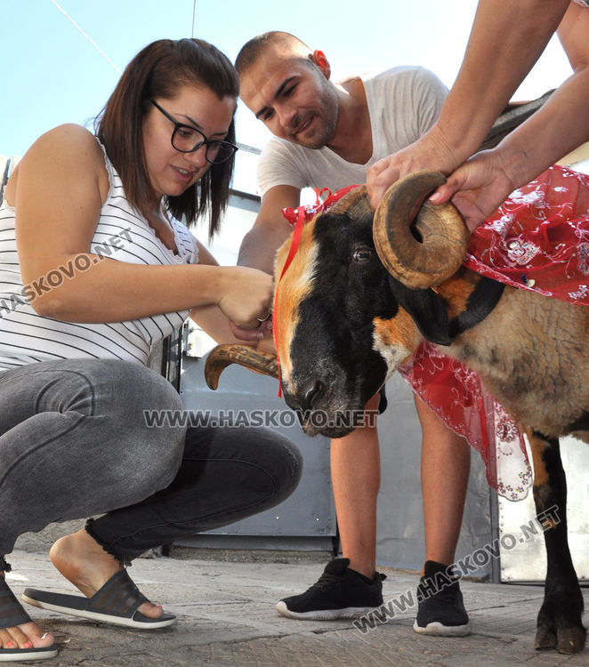 Младоженец проводи украсен коч на млада булка преди Байрама 