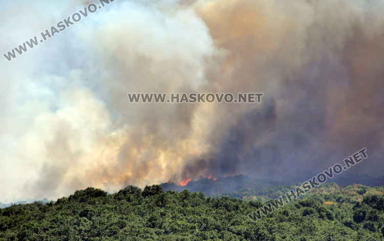 Спряха пожар край Брягово на метри от къщите
