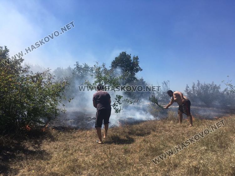 Спряха пожар край Брягово на метри от къщите