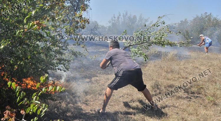 Спряха пожар край Брягово на метри от къщите