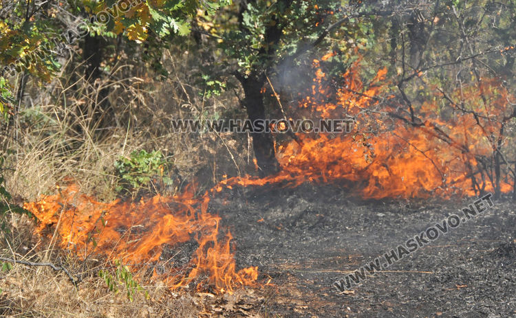Спряха пожар край Брягово на метри от къщите