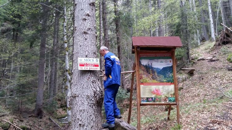 РИОСВ Смолян: Глоба до 10 хил.лв за палене на огън в защитени територии и резервати