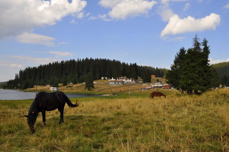 Родопски специалитети, конна езда и каба гайди на събора на шест села на Хайдушки поляни