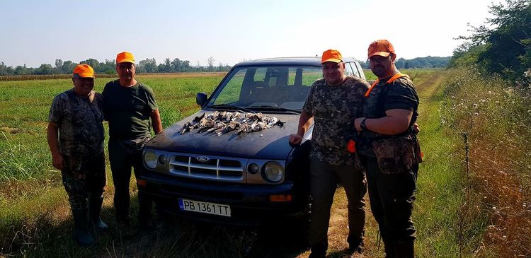 Повече пъдпъдък и по-малко гургулици в ловните полета