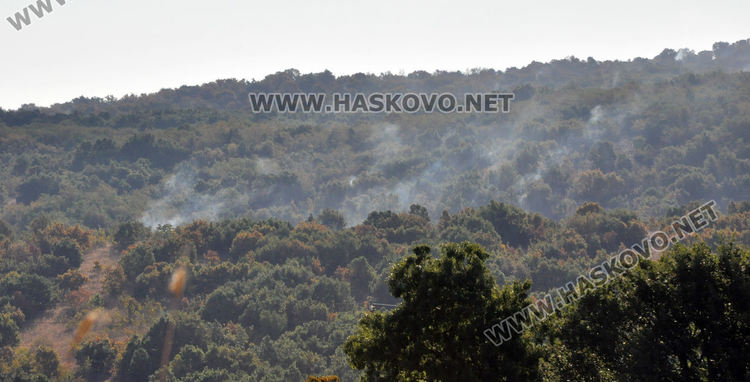 Верижна техника и военни гасят пожара край Любеново